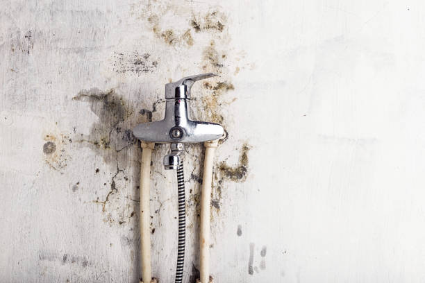 Best Water Damage Restoration  in Steele, AL