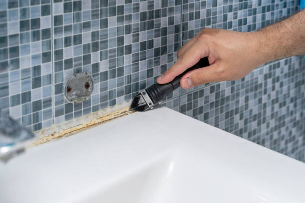 Best Mold Removal Company Near Me  in Steele, AL