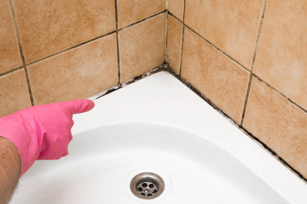 Best Residential Mold Removal  in Steele, AL